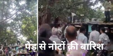 Auraiya News: औरैया में अचानक हुई रुपयों की बारिश पेड़ से गिरे नोट, लोग लूटने दौड़े पड़े