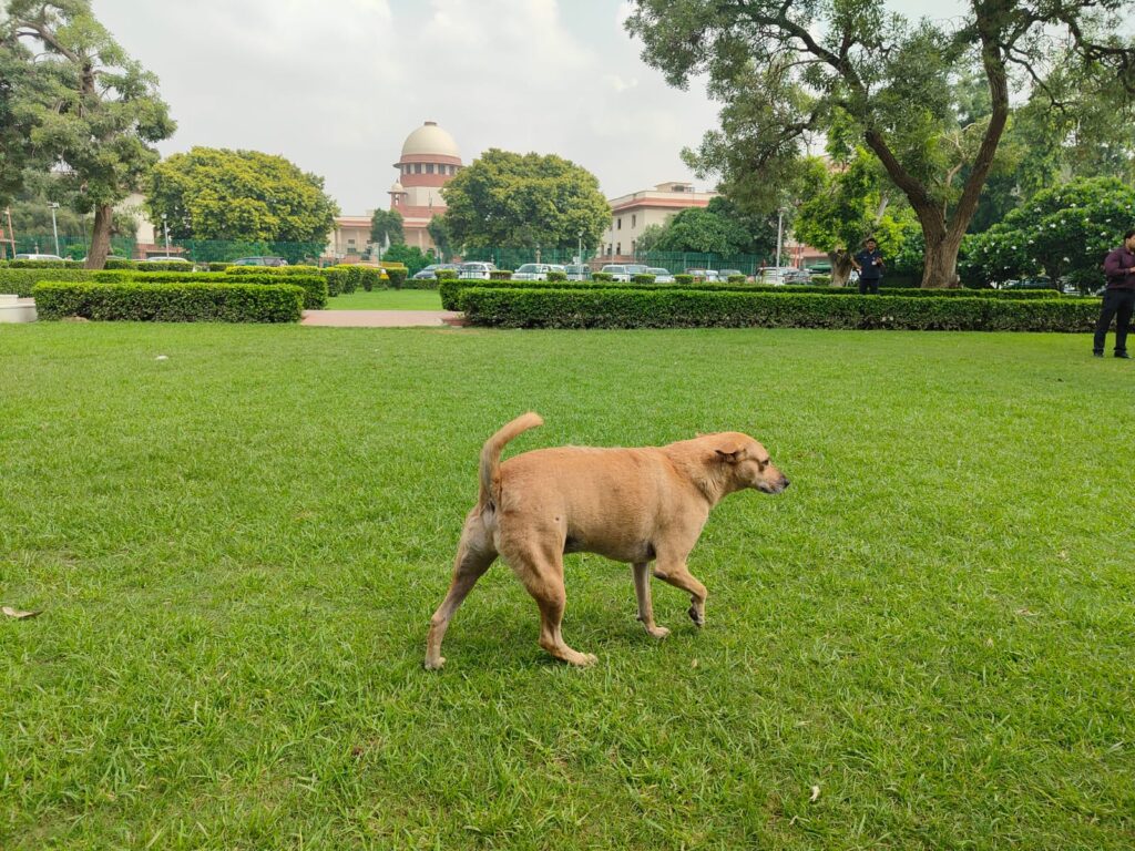 Supreme Court