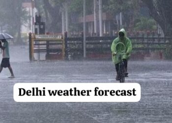 Delhi Weather Forecast 15 August