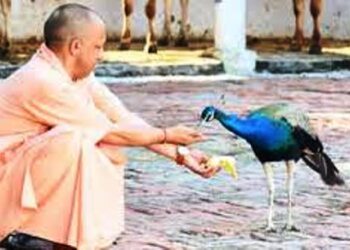 रवि किशन इस भजन पर कर रहे थे डांस, तभी सीएम योगी आदित्यनाथ ने लगाई एक आवाज और दौड़ा चला ये खास मेहमान