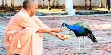 रवि किशन इस भजन पर कर रहे थे डांस, तभी सीएम योगी आदित्यनाथ ने लगाई एक आवाज और दौड़ा चला ये खास मेहमान