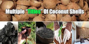 how to use coconut shell at home