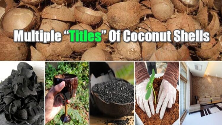 how to use coconut shell at home