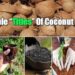 how to use coconut shell at home