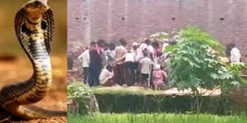 नागिन के इंतकाम से हुई मौत के बाद 5 दिन घर पर रखी है 1 लाश, तंत्र साधना के बीच बायगीर बोला, ‘जिंदा होकर रहेगा मुर्दा’