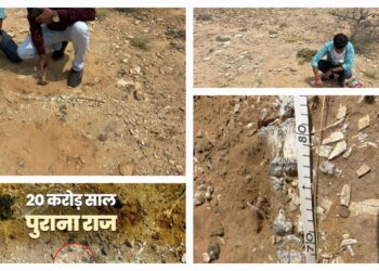 Fossil Found in Jaisalmer: क्या जुरासिक युग का हिस्सा था जैसलमेर, क्या कभी पानी से भरा था थार का रेगिस्तान