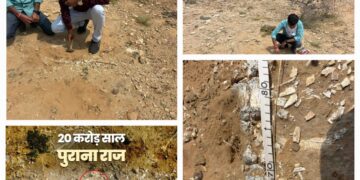 Fossil Found in Jaisalmer: क्या जुरासिक युग का हिस्सा था जैसलमेर, क्या कभी पानी से भरा था थार का रेगिस्तान
