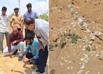 dinosaur fossils found in rajasthan news