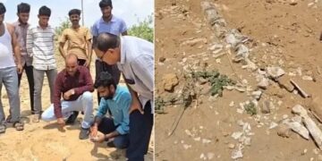 dinosaur fossils found in rajasthan news