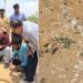 dinosaur fossils found in rajasthan news