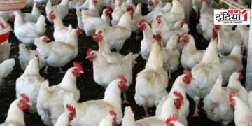 UP Poultry Farm Scheme