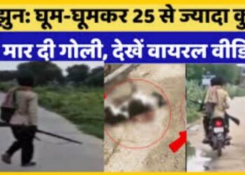 बंदूक लेकर निकला किलर और कुत्तों का कुछ ऐसे कर रहा एनकाउंटर, 48 घंटे में 25 डॉग्स के सीने में उतारी बुलेट