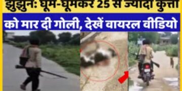 बंदूक लेकर निकला किलर और कुत्तों का कुछ ऐसे कर रहा एनकाउंटर, 48 घंटे में 25 डॉग्स के सीने में उतारी बुलेट