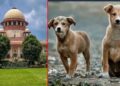 Supreme Court order on stray dogs