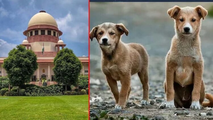 Supreme Court order on stray dogs
