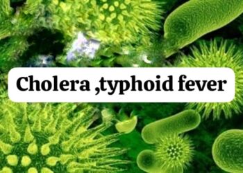 cholera prevention tips, typhoid protection in monsoon,