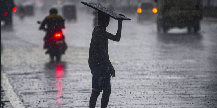 UP Weather