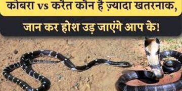 कोबरा और करैत का यूपी के इन जिलो में ‘दबदबा’, कटखने सांपों ने 418 लोगों को डंसकर मचा दिया ‘तहलका’