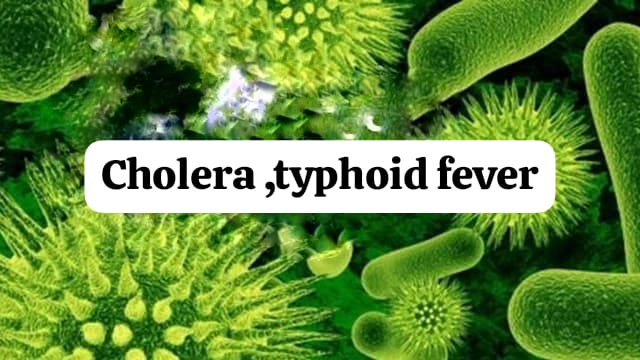 cholera prevention tips, typhoid protection in monsoon,