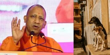 Yogi Govt