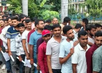 up pet exam analysis