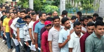 up pet exam analysis