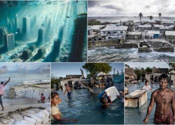 Climate change: धरती और इंसान दोनों के लिए बना सबसे बड़ा संकट क्या पानी में समा सकते हैं भारत के कुछ बड़े शहर