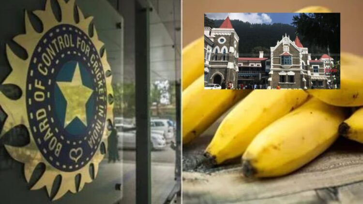 Banana Purchase Scam in Uttarakhand