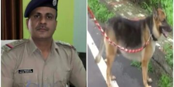 Rabies Alert Fatal Dog Scratch News