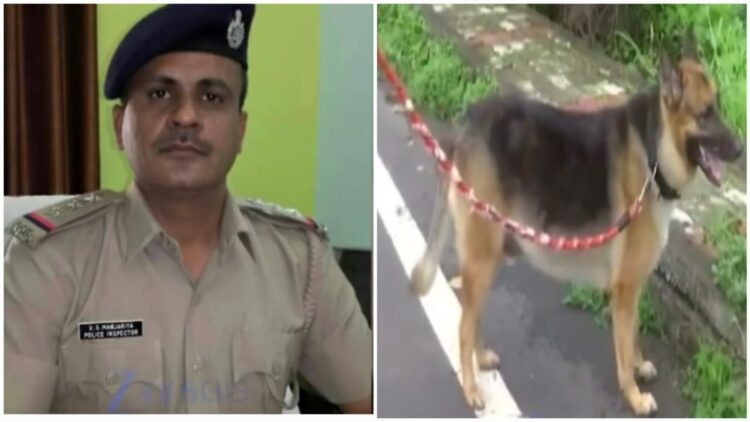 Rabies Alert Fatal Dog Scratch News