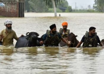 Punjab Flood