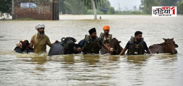 Punjab Flood