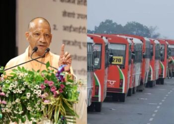 : road safety rules and electric vehicle growth