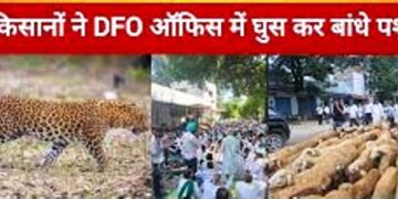 यूपी के इस जिले में घूसे 500 तेंदुए और 43 इंसानों का किया शिकार, गुस्साए किसानों ने DFO ऑफिस में बांधे पालतू जानवर