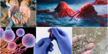 क्या माइक्रोप्लास्टिक कण हमारी सांसों के जरिए शरीर में घोल रहे ज़हर, जानिए कैसे कैंसर को दे रहे न्योता