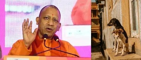 Yogi Govt