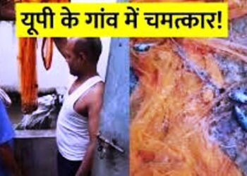 Ghazipur News: यूपी के इस गांव में हो रहा अजीबोगरीब चमत्कार, हर घर के हैंडपंप-ट्यूबवेल से निकल रहीं मछलियां