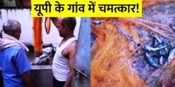 Ghazipur News: यूपी के इस गांव में हो रहा अजीबोगरीब चमत्कार, हर घर के हैंडपंप-ट्यूबवेल से निकल रहीं मछलियां