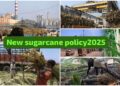 New Sugarcane Policy 2025 benefits