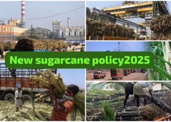 New Sugarcane Policy 2025 benefits