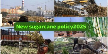 New Sugarcane Policy 2025 benefits