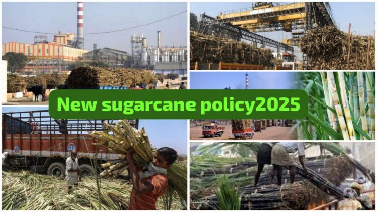 New Sugarcane Policy 2025 benefits
