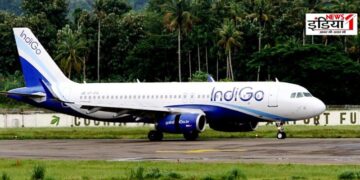 Indigo Plane