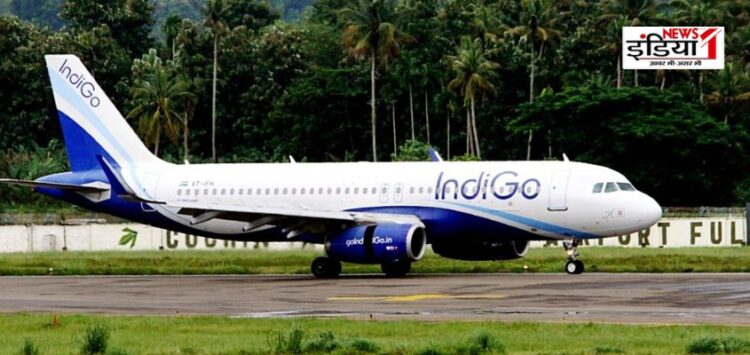 Indigo Plane