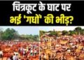 चित्रकूट में ‘अजब-गजब’ के गधे उड़ाए हुए हैं गर्दा, सलमान, शाहरुख और अभिताभ के बजाए लॉरेंस सबसे महंगा बिका