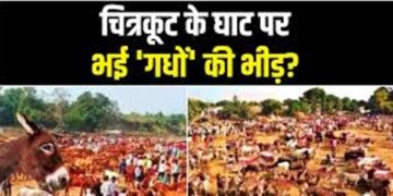चित्रकूट में ‘अजब-गजब’ के गधे उड़ाए हुए हैं गर्दा, सलमान, शाहरुख और अभिताभ के बजाए लॉरेंस सबसे महंगा बिका