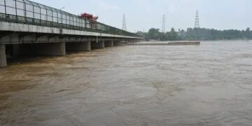 Yamuna river: 2013 के बाद सबसे स्वच्छ स्तर पर पहुंचा यमुना का पानी, क्या बाढ़ से यमुना में आया सुधार,किसको मिला इसका श्रेय