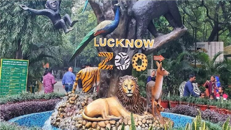 Eco friendly Diwali environment protection message
