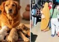 कुतिया ने अजब-गजब के 5 पिल्लों को दिया जन्म, लड़कियों ने लगाए ठुमके तो ‘श्रीदेवी’ के मालिक ने कराई भव्य ‘बारहों’ रस्म