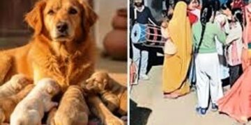 कुतिया ने अजब-गजब के 5 पिल्लों को दिया जन्म, लड़कियों ने लगाए ठुमके तो ‘श्रीदेवी’ के मालिक ने कराई भव्य ‘बारहों’ रस्म